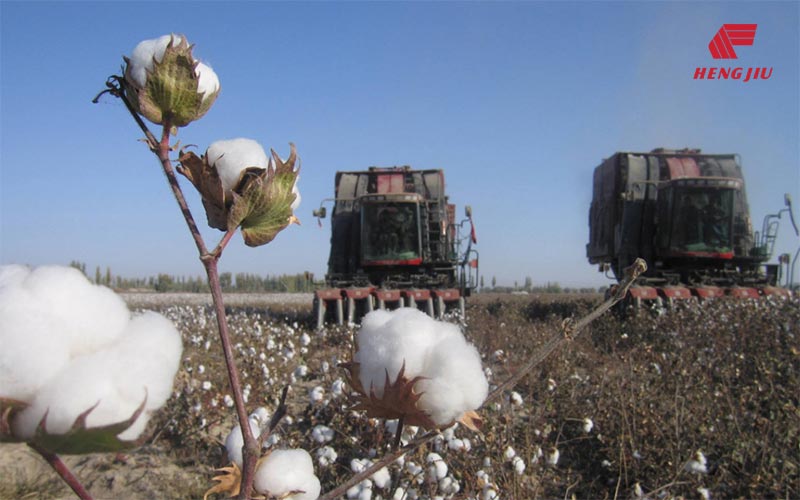 富联娱乐-妄想照进现实,致力成就将来!