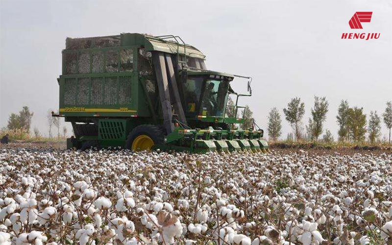 富联娱乐-妄想照进现实,致力成就将来!