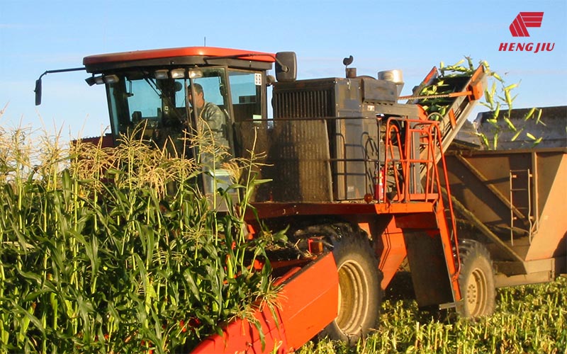 富联娱乐-妄想照进现实,致力成就将来!